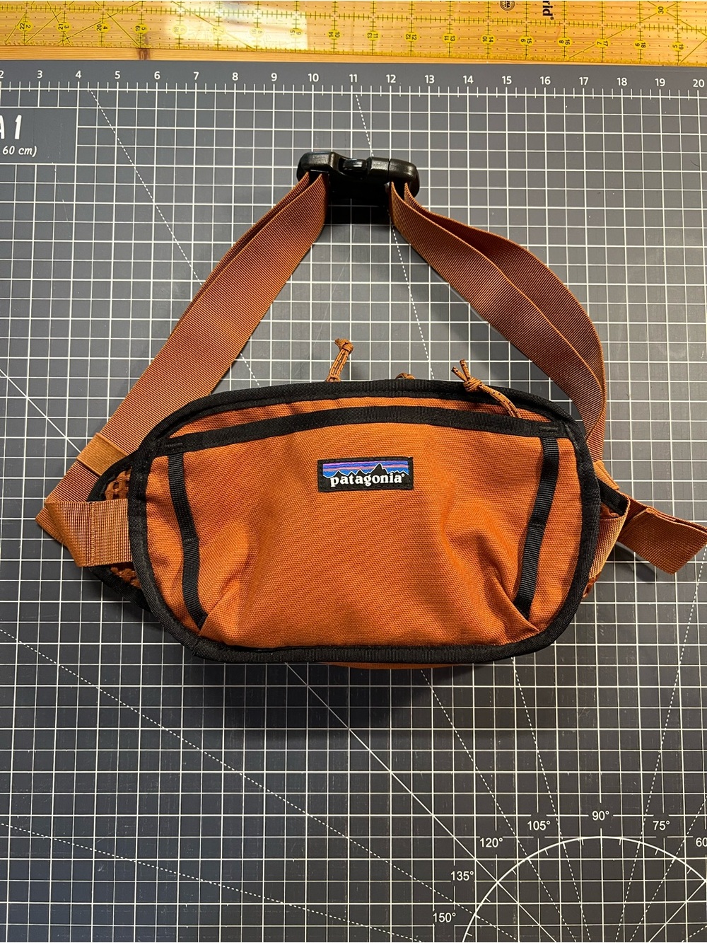 Patagonia Hip Pack
